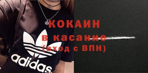 дживик Мегион