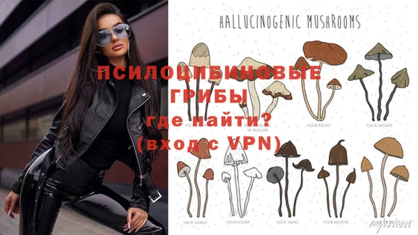 дживик Мегион
