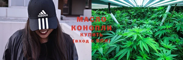 дживик Мегион