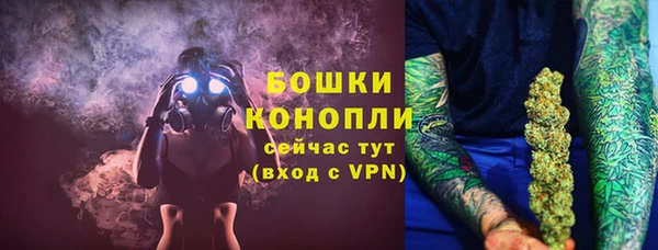 дживик Мегион