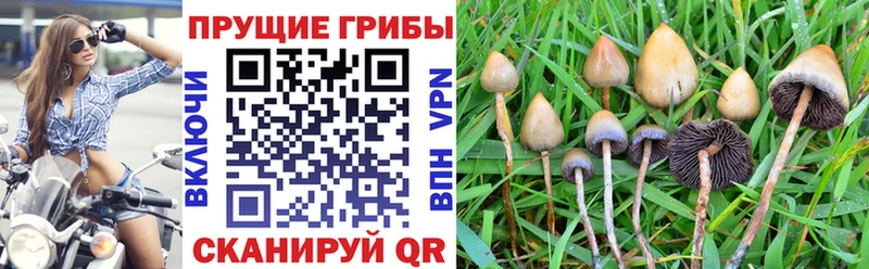 Псилоцибиновые грибы мухоморы  Пятигорск 
