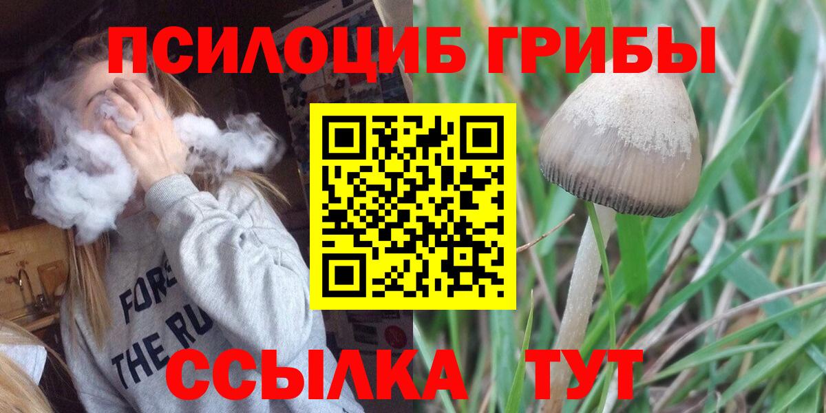 Пятигорск  Псилоцибиновые грибы мухоморы  Вход с VPN 